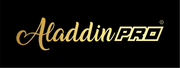 Aladdin Pro logo